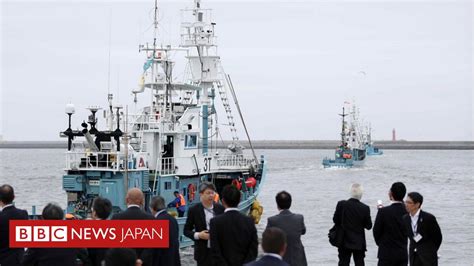 日本が商業捕鯨を再開 IWCから脱退、規制受けず 